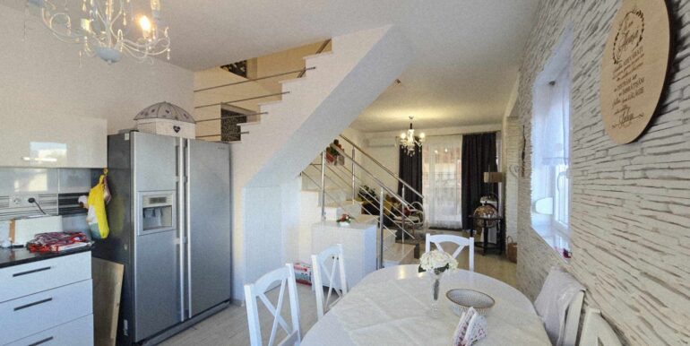 CV0520-Casa de vânzare Oncea serpentina Paleu-29