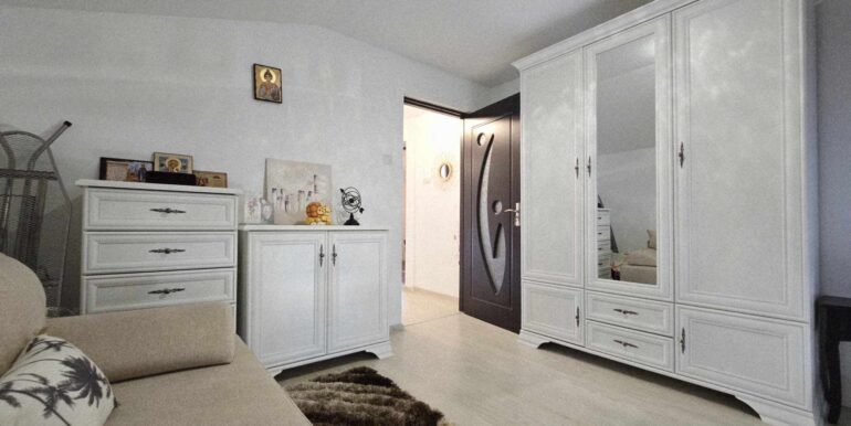 CV0520-Casa de vânzare Oncea serpentina Paleu-45