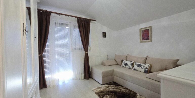 CV0520-Casa de vânzare Oncea serpentina Paleu-48