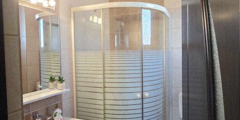 CV0520-Casa de vânzare Oncea serpentina Paleu-50