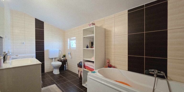 CV0520-Casa de vânzare Oncea serpentina Paleu-51