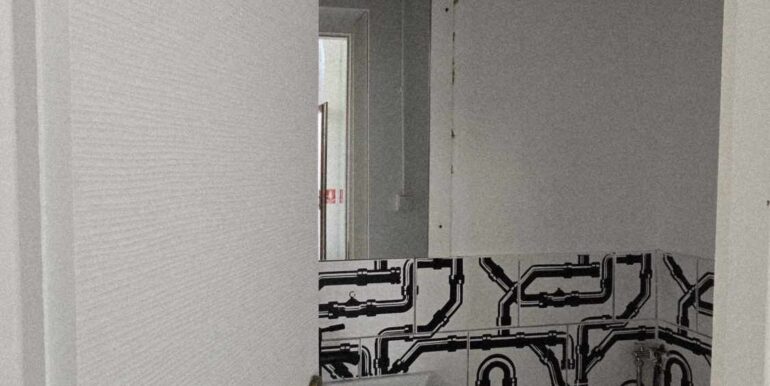 SC0134-Spatiu comercial de inchiriat ultracentra-05