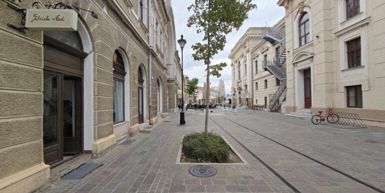 SC0134-Spatiu comercial de inchiriat ultracentra-08