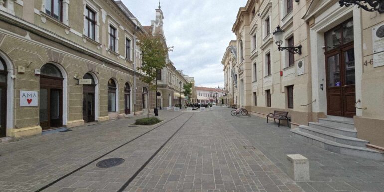 SC0134-Spatiu comercial de inchiriat ultracentra-11