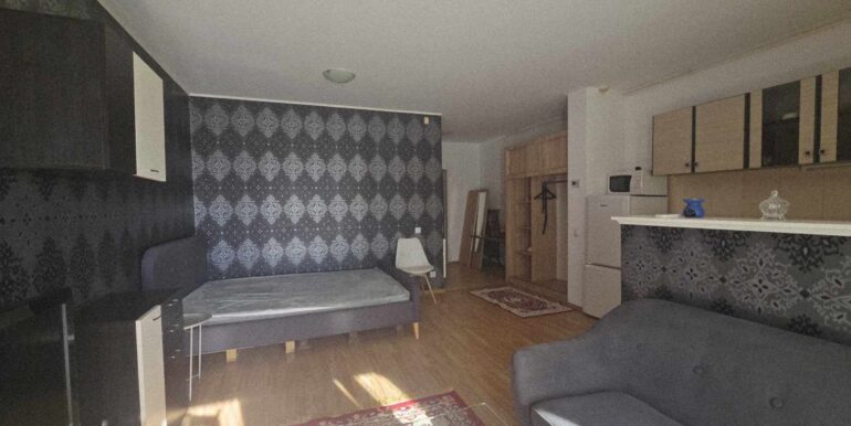 AP1463-Apartament tip studio de închiriat, Ared-01