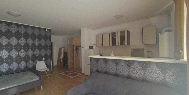 AP1463-Apartament tip studio de închiriat, Ared-03