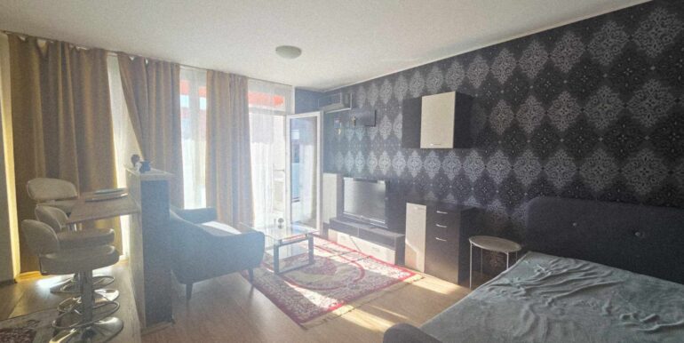 AP1463-Apartament tip studio de închiriat, Ared-04