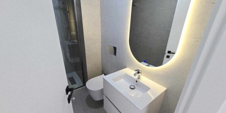 AP1464-Apartament 2 cam. de vânzare Prima Green Nufărul-28