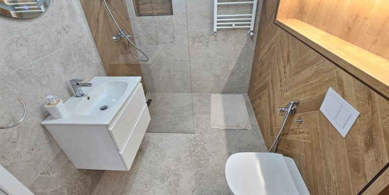 AP1465-Apartament 2 camere de închiriat, cart. Luceafărul-22