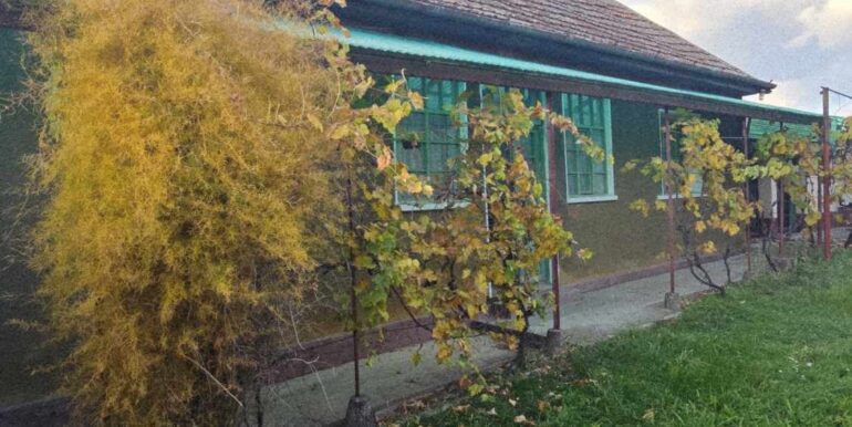 CV0522-Casă de vânzare loc. Cefa Bihor-15