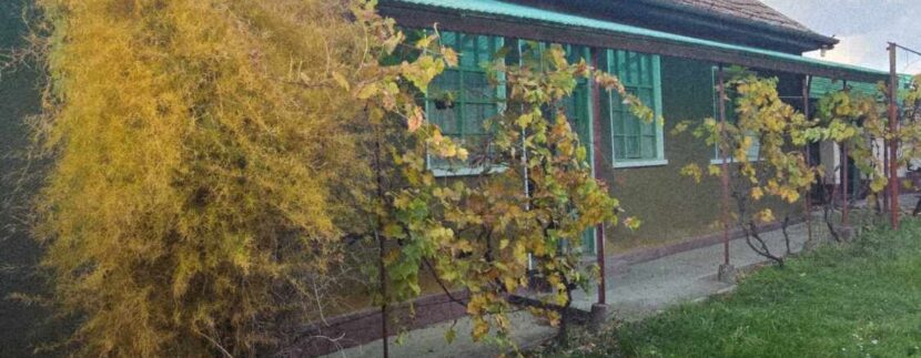 CV0522-Casă de vânzare loc. Cefa Bihor-15