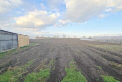 CV0522-Casă de vânzare loc. Cefa Bihor-35