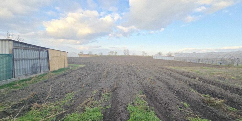 CV0522-Casă de vânzare loc. Cefa Bihor-35