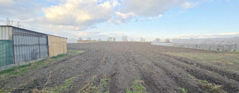 CV0522-Casă de vânzare loc. Cefa Bihor-35