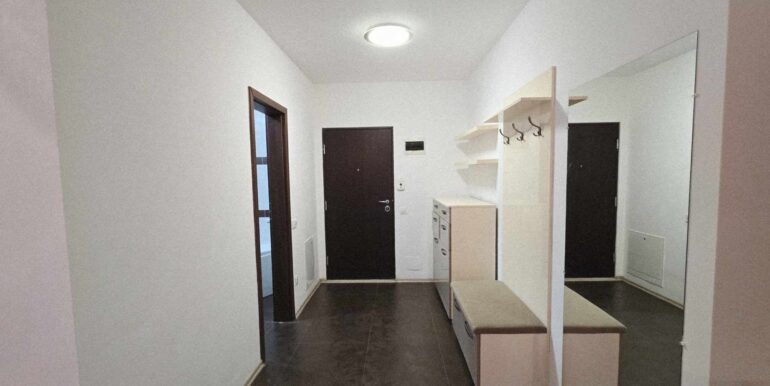 AP1473-Ap 3 cam de vanzare Nufarul Plaza, str. Grigore Moisil-04