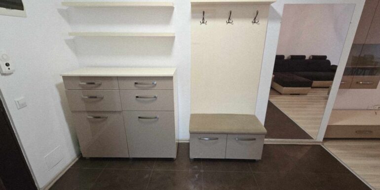 AP1473-Ap 3 cam de vanzare Nufarul Plaza, str. Grigore Moisil-06