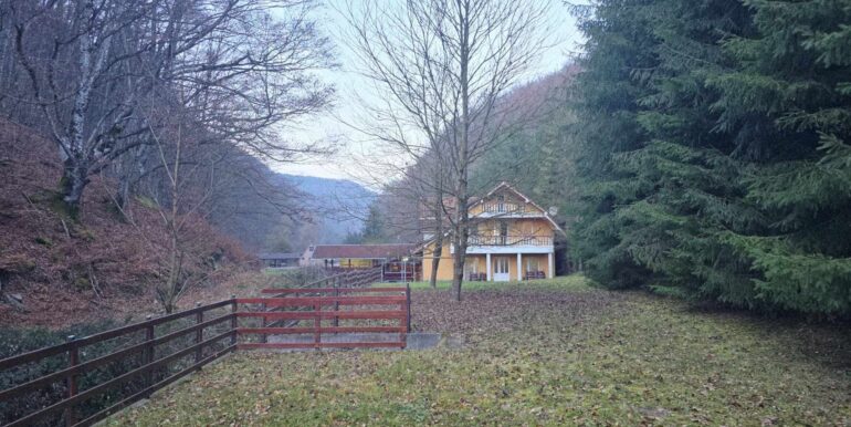 CV0524-Casa Pensiune, doua imobile intr-unul singur de vanzare, Valea Bratcutei, Bihor-16