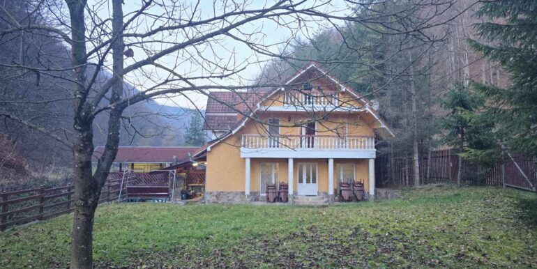 CV0524-Casa Pensiune, doua imobile intr-unul singur de vanzare, Valea Bratcutei, Bihor-19