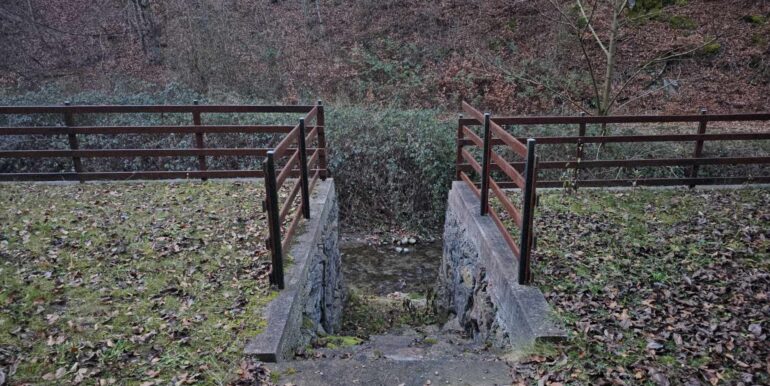 CV0524-Casa Pensiune, doua imobile intr-unul singur de vanzare, Valea Bratcutei, Bihor-20