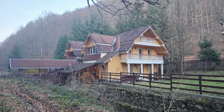 CV0524-Casa Pensiune, doua imobile intr-unul singur de vanzare, Valea Bratcutei, Bihor-26