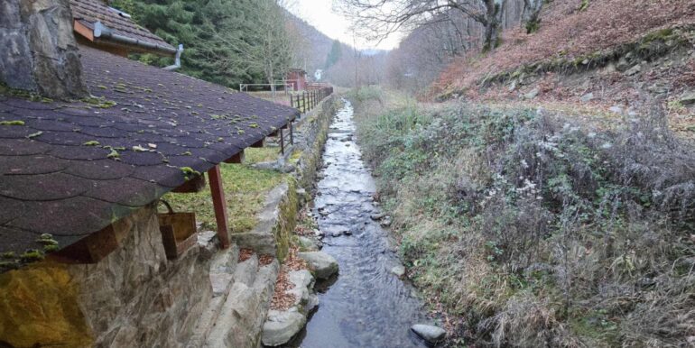 CV0524-Casa Pensiune, doua imobile intr-unul singur de vanzare, Valea Bratcutei, Bihor-31