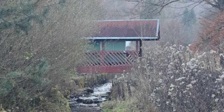 CV0524-Casa Pensiune, doua imobile intr-unul singur de vanzare, Valea Bratcutei, Bihor-41