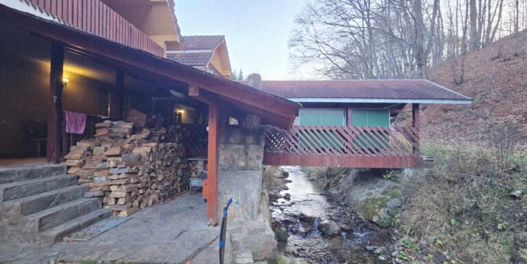 CV0524-Casa Pensiune, doua imobile intr-unul singur de vanzare, Valea Bratcutei, Bihor-47