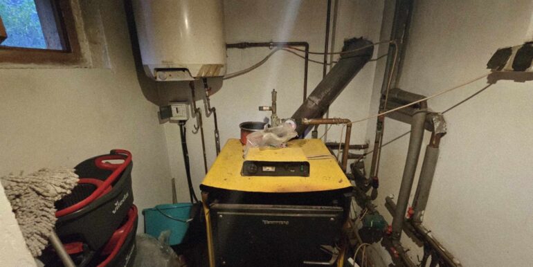 CV0524-Casa Pensiune, doua imobile intr-unul singur de vanzare, Valea Bratcutei, Bihor-49