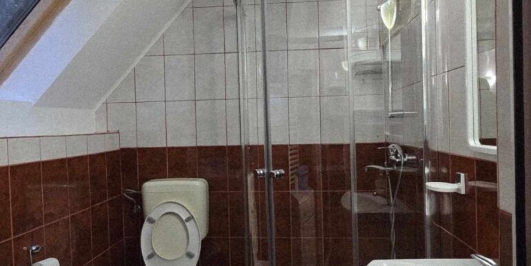 CV0524-Casa Pensiune, doua imobile intr-unul singur de vanzare, Valea Bratcutei, Bihor-70