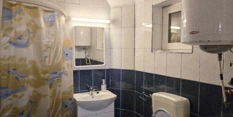 CV0524-Casa Pensiune, doua imobile intr-unul singur de vanzare, Valea Bratcutei, Bihor-82