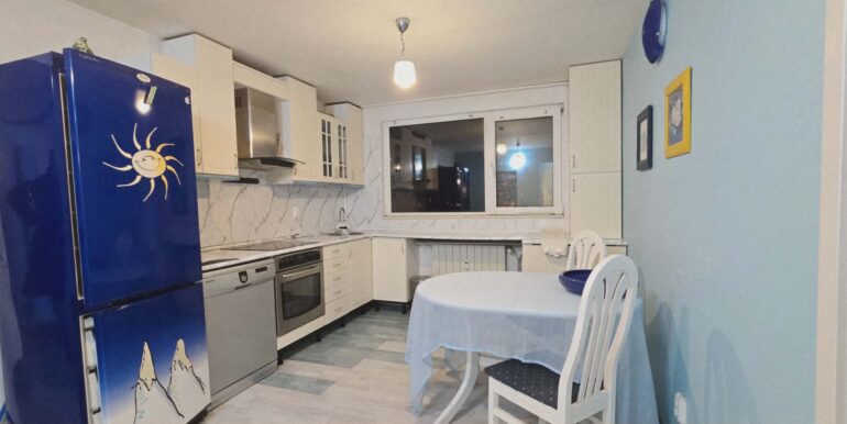 AP1476-Ap 3 cam de inchiriat blvd Dacia-06