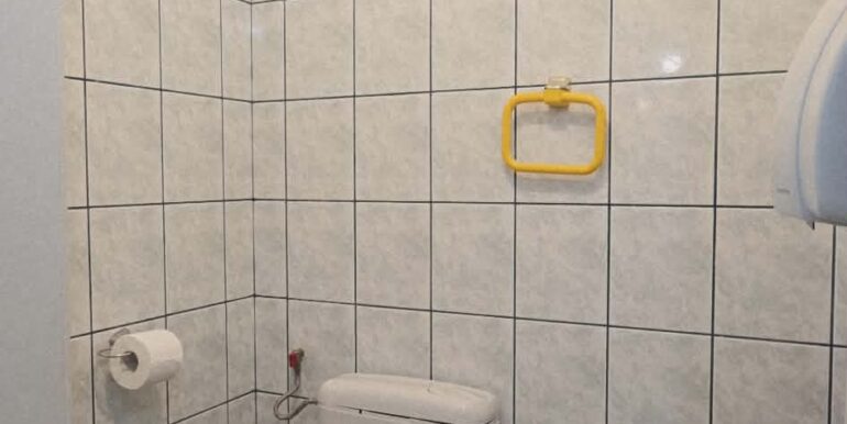 AP1476-Ap 3 cam de inchiriat blvd Dacia-11