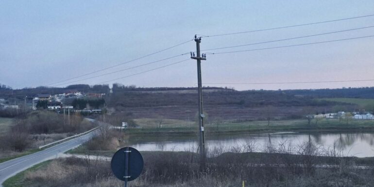 T0124-Teren de vanzare, loc. Paleu-01