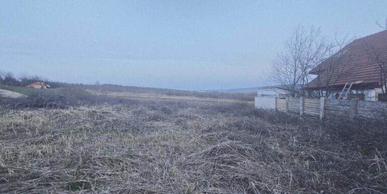 T0124-Teren de vanzare, loc. Paleu-06