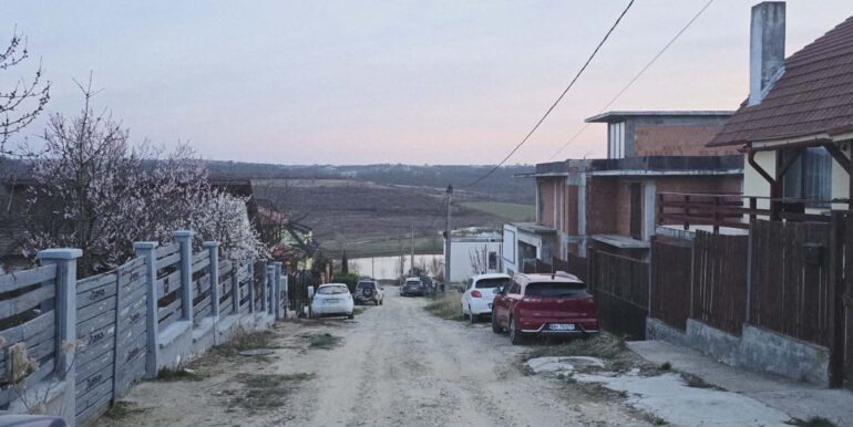 T0124-Teren de vanzare, loc. Paleu-08