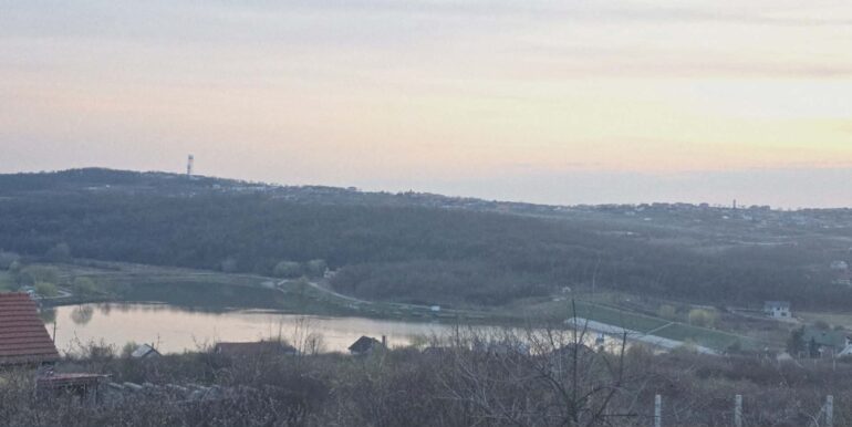 T0124-Teren de vanzare, loc. Paleu-10