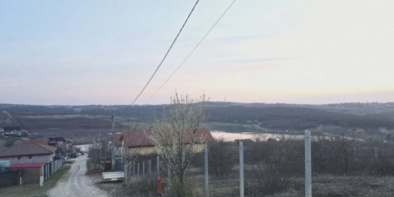 T0124-Teren de vanzare, loc. Paleu-12