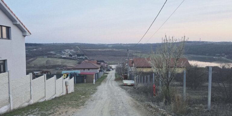 T0124-Teren de vanzare, loc. Paleu-13