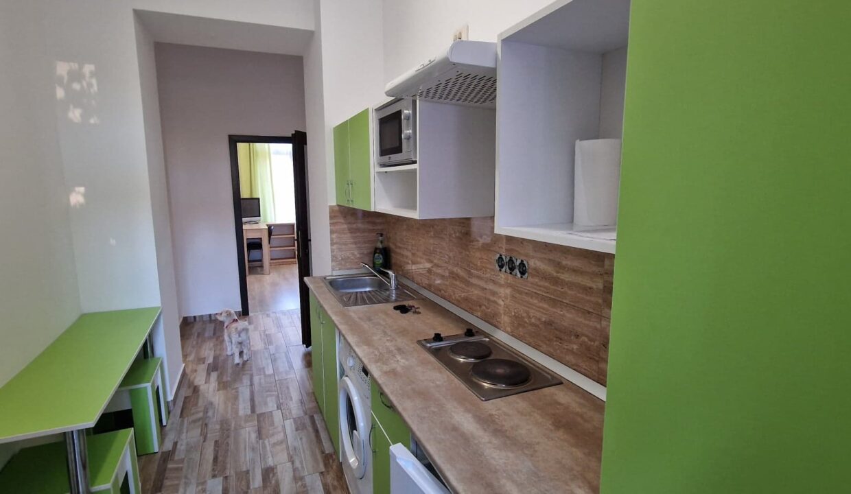 313914856_5702735743098528_5735608510875111663_n