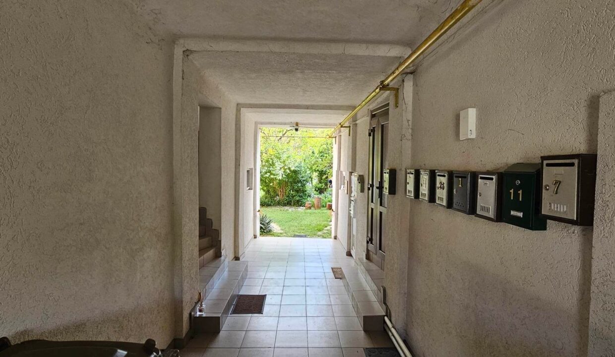 346068403_967559347752208_8883202120803571142_n