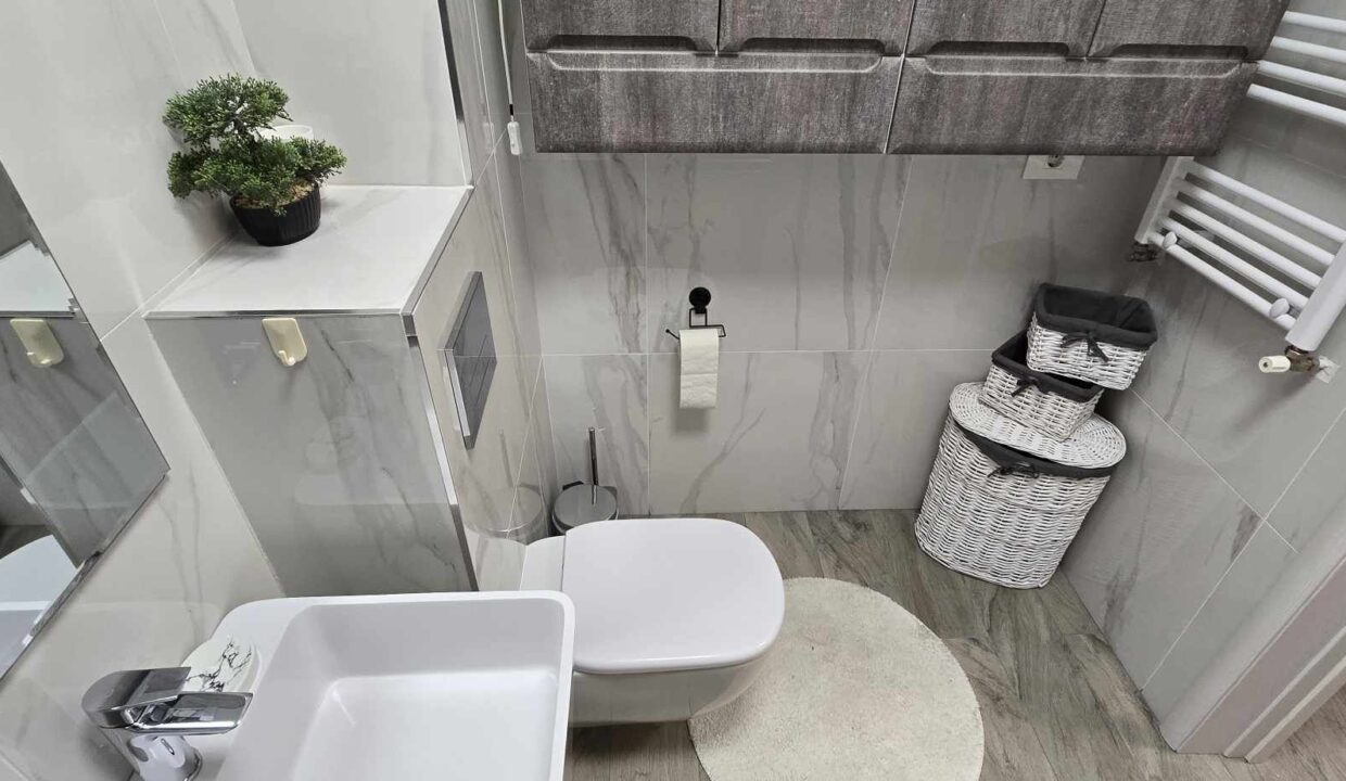 462565661_1256690152340948_7995977056324586740_n