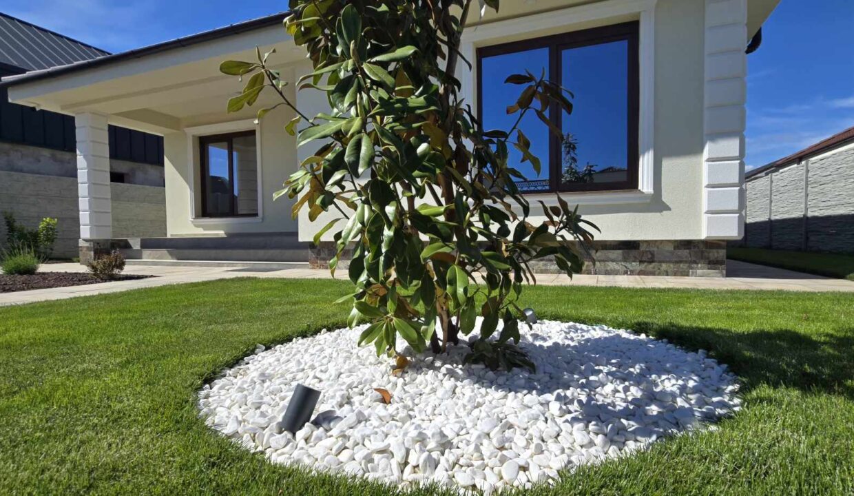 494355504_1876878349831190_8029330025114805394_n