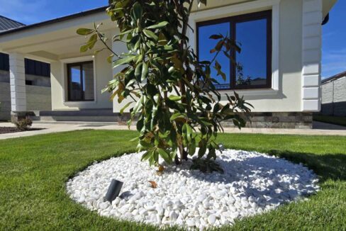 494355504_1876878349831190_8029330025114805394_n