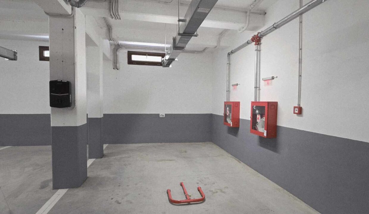 508254663_1219865036486006_6513572578052853216_n