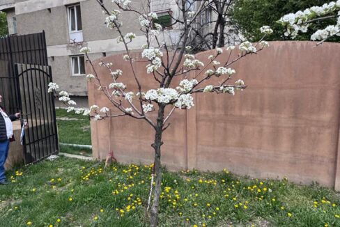 61e1ed1e-294c-455b-9ed2-1d0018ecc486