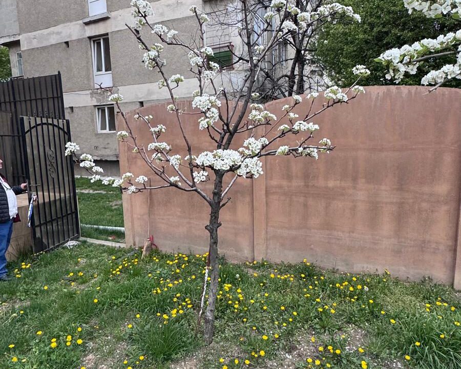 61e1ed1e-294c-455b-9ed2-1d0018ecc486