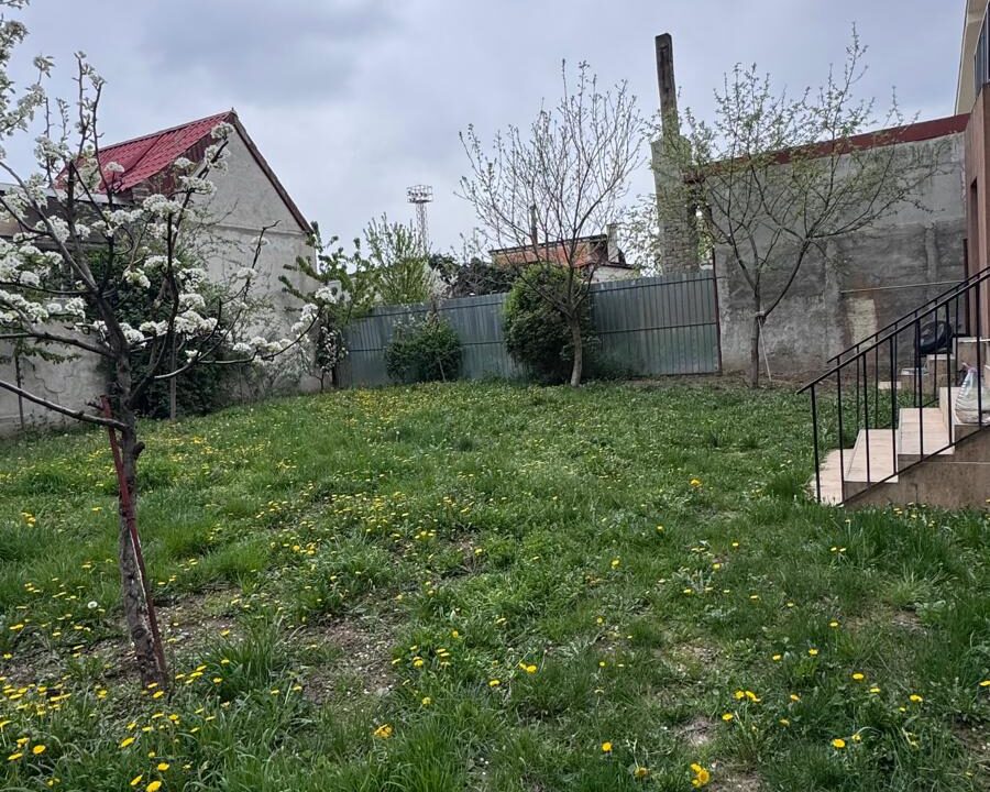 93959a64-8e42-4f1d-81a9-44c697cfceb5