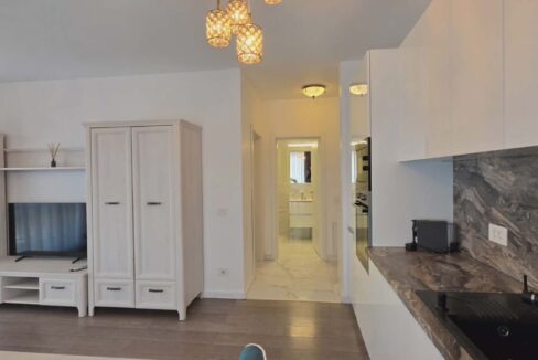 AP1488-Ap. 2 cam de închiriat, Prima Nufărul, str. Ion Bradu-13