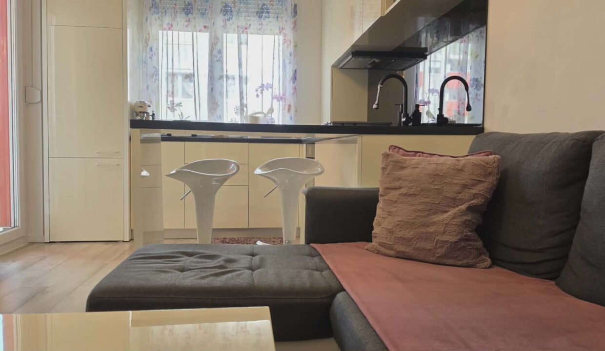 AP1489-Ap 2 cam de vanzare str T Vladimirescu Ared-02