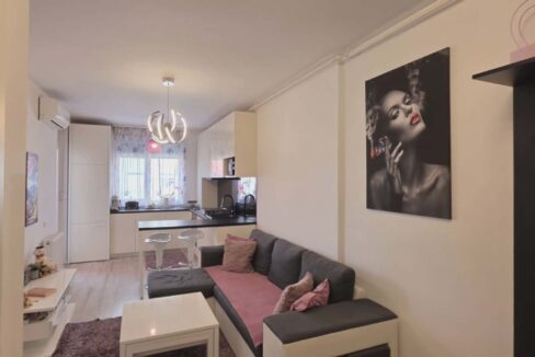 AP1489-Ap 2 cam de vanzare str T Vladimirescu Ared-04